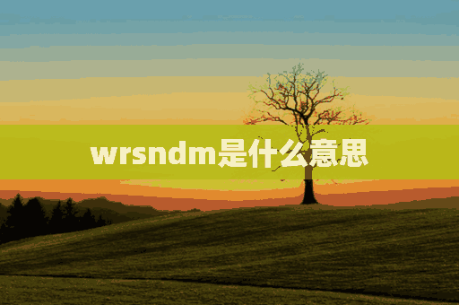 wrsndm是什么意思